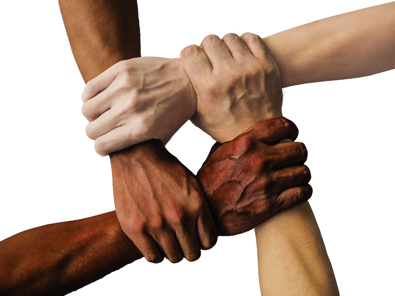 Diaspora community and reintegration in Zimbabwe