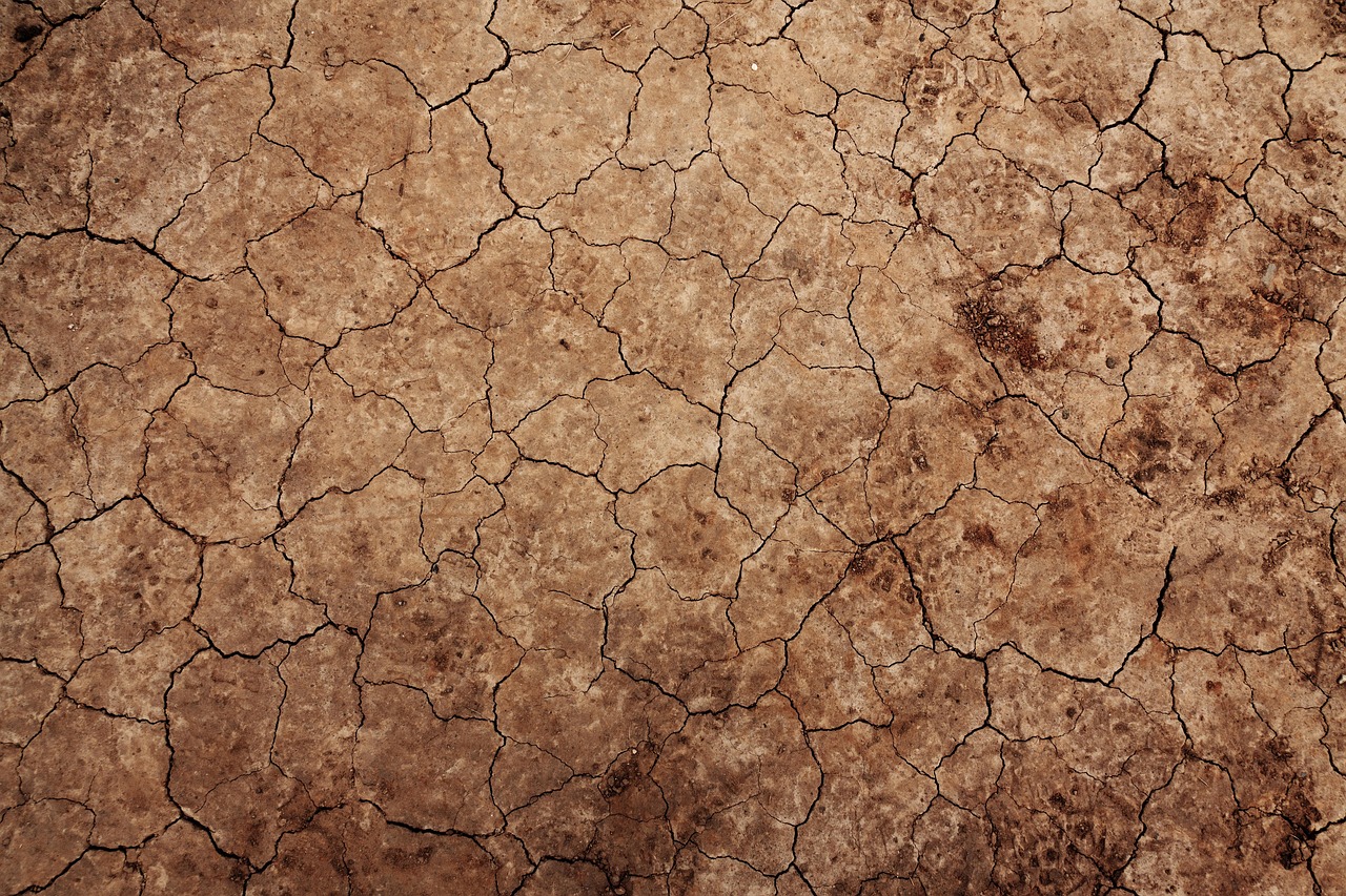Environmental rehabilitation in Zimbabwe